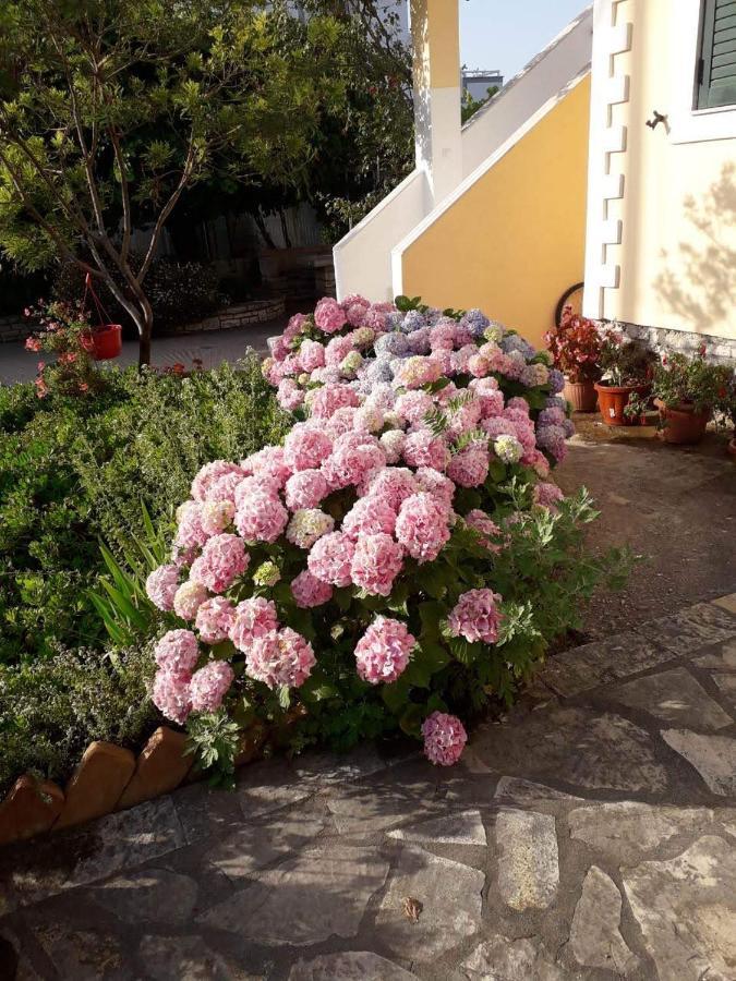 Villa Violeta 사밀 외부 사진